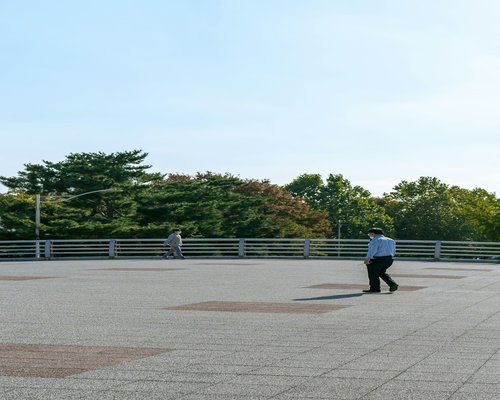 person walking in a sunny park